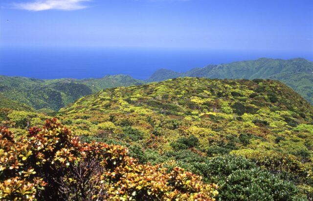 湯湾岳展望台から見た東シナ海側1