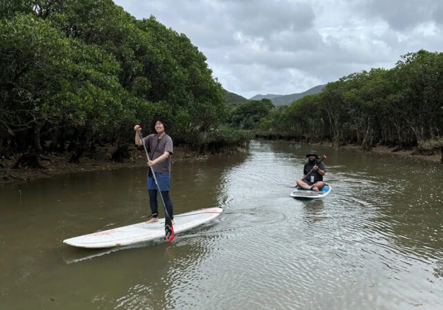 マングローブ　SUP