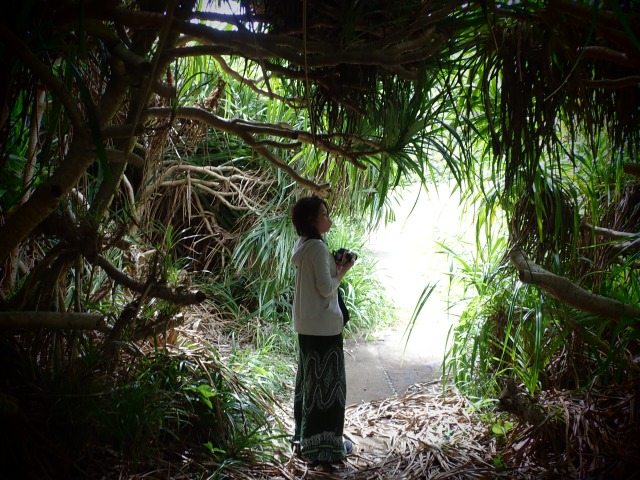奄美大島　現地ツアー　リトリートツアー