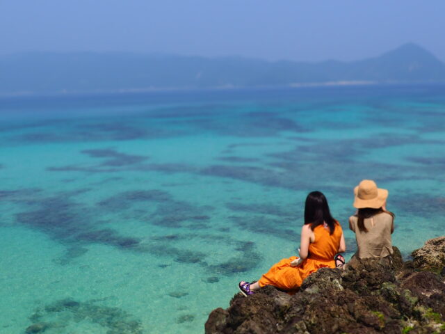 絶景フォトツアー＆原生林ツアー