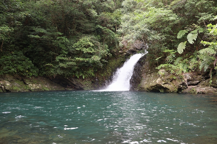 【奄美/1日/貸切】自然も観光もぜんぶ欲張る♪奄美大島まるごと体験プラン＜スケジュールのアレンジOK！＞（No.174）