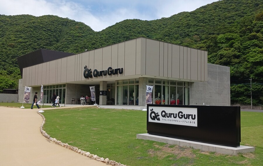 【奄美/1日/貸切】自然も観光もぜんぶ欲張る♪奄美大島まるごと体験プラン＜スケジュールのアレンジOK！＞（No.174）