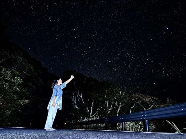 ナイトツアー