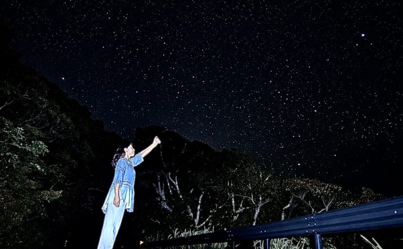 Night Tour