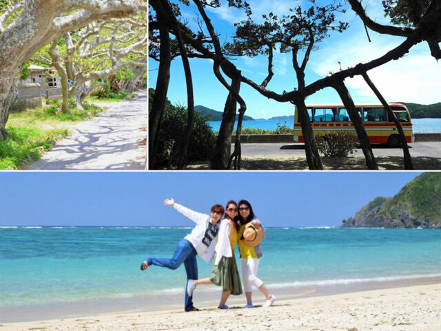 【加計呂麻島/半日】0歳から参加OK◎のんびり島時間とレトロ風景を楽しむ加計呂麻島散策ツアー☆〈ガイド同行・前日までキャンセル無料〉