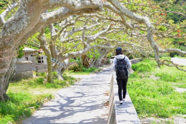 【加計呂麻島/半日】0歳から参加OK◎のんびり島時間とレトロ風景を楽しむ加計呂麻島散策ツアー☆〈ガイド同行・前日までキャンセル無料〉