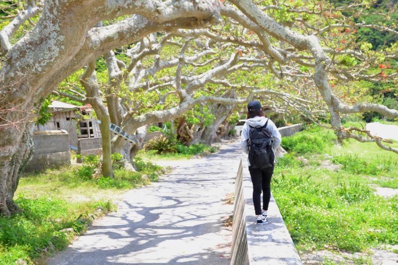 【加計呂麻島/半日】0歳から参加OK◎のんびり島時間とレトロ風景を楽しむ加計呂麻島散策ツアー☆〈ガイド同行・前日までキャンセル無料〉（No.178）