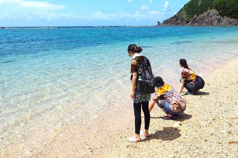 【加計呂麻島/1日】0歳から参加OK◎のんびり島時間とレトロ風景を楽しむ加計呂麻島散策ツアー☆〈ガイド同行・前日までキャンセル無料〉（No.179）