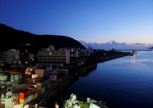 【奄美大島/夜】珍しい生き物へ遭遇！車内から夜の森探検ツアー☆小さなお子様もみんなでワイワイ貸切OK！《少人数制＆名瀬エリア送迎可能》