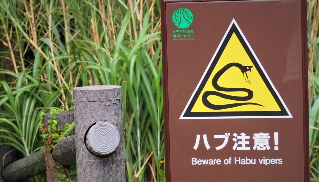 奄美大島ハブ注意
