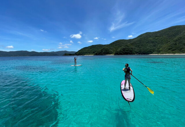 奄美大島のクリアな海で楽しむSUP体験