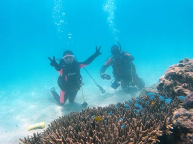 奄美大島　ダイビング　ライセンス