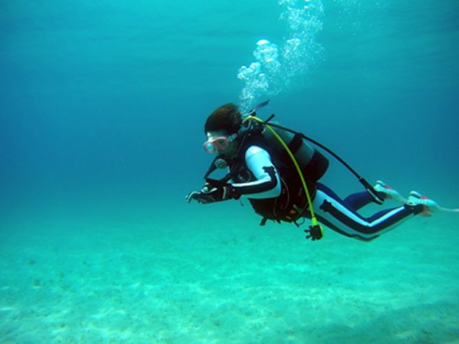 【奄美/名瀬/1〜3月限定】体験ダイビング＆ホエールウォッチング☆人気アクティビティを1日で満喫しよう♪《名瀬・龍郷町送迎可》（No.199）