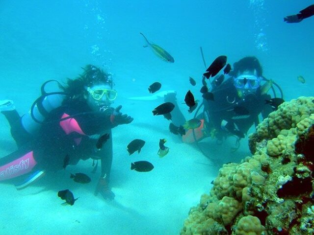 奄美大島　ダイビング　ライセンス