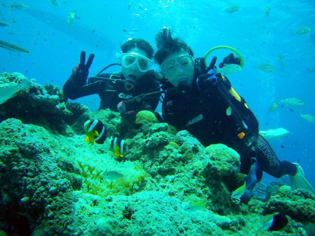 【奄美/名瀬/1〜3月限定】体験ダイビング＆ホエールウォッチング☆人気アクティビティを1日で満喫しよう♪《名瀬・龍郷町送迎可》