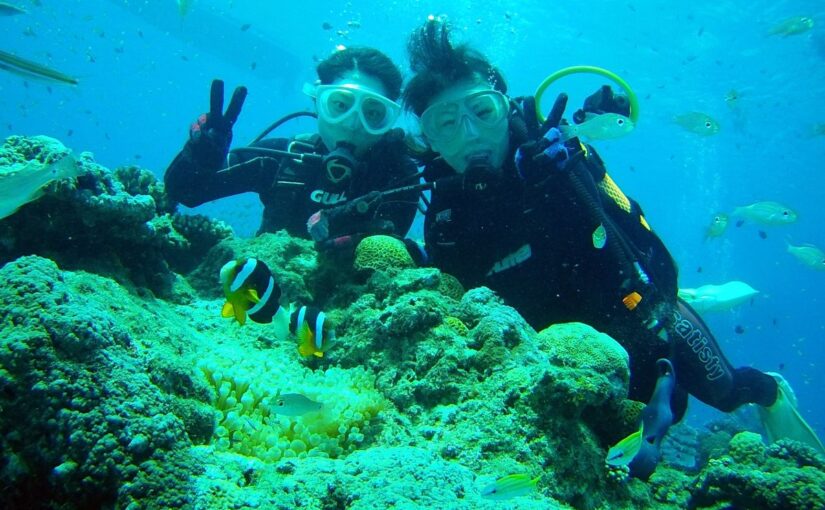 奄美大島　ダイビング　ダイビングスポット