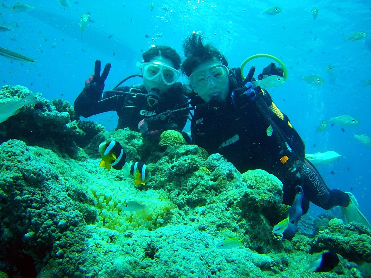 奄美大島　ダイビング　ダイビングスポット