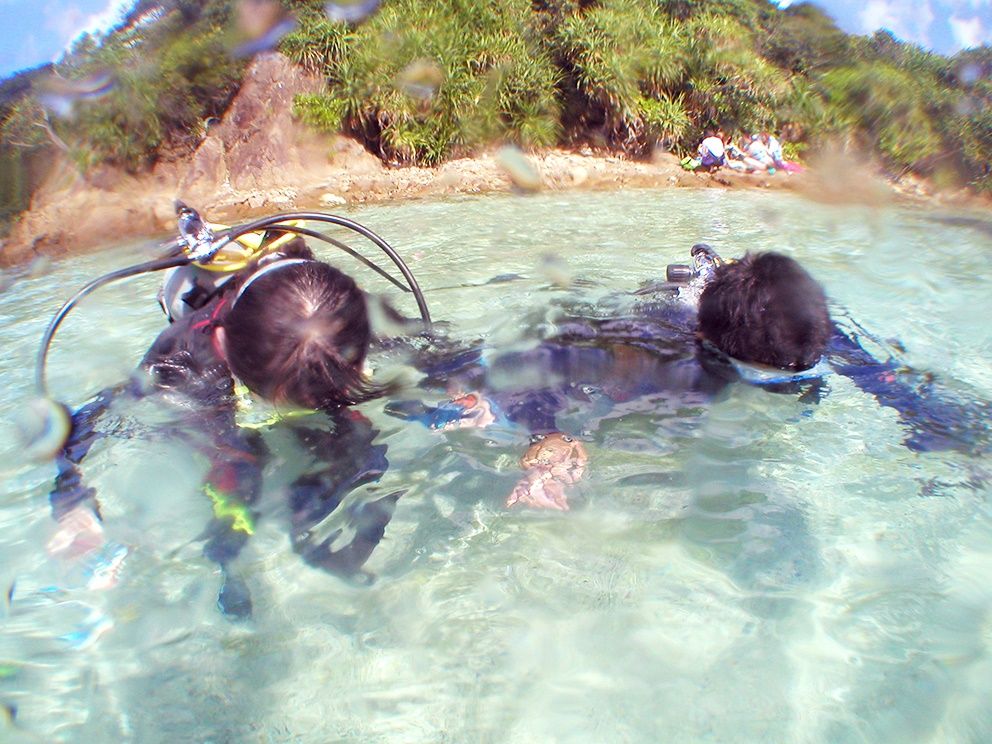 【奄美/名瀬/1〜3月限定】体験ダイビング＆ホエールウォッチング☆人気アクティビティを1日で満喫しよう♪《名瀬・龍郷町送迎可》（No.199）