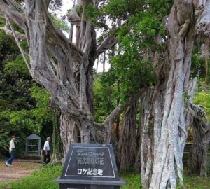 奄美大島の景勝地