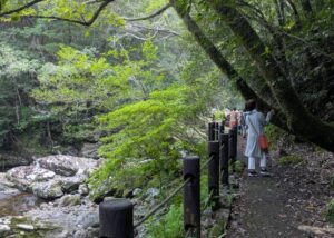奄美大島の島内観光ツアー参加者