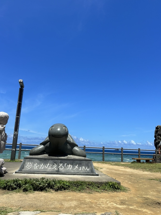 【奄美/名瀬発/3時間】奄美大島ハイライト周遊ツアー☆パワースポット・景勝地・集落など！ガイド同行で島時間を感じる街歩き《送迎あり・2歳未満無料》（No.195）