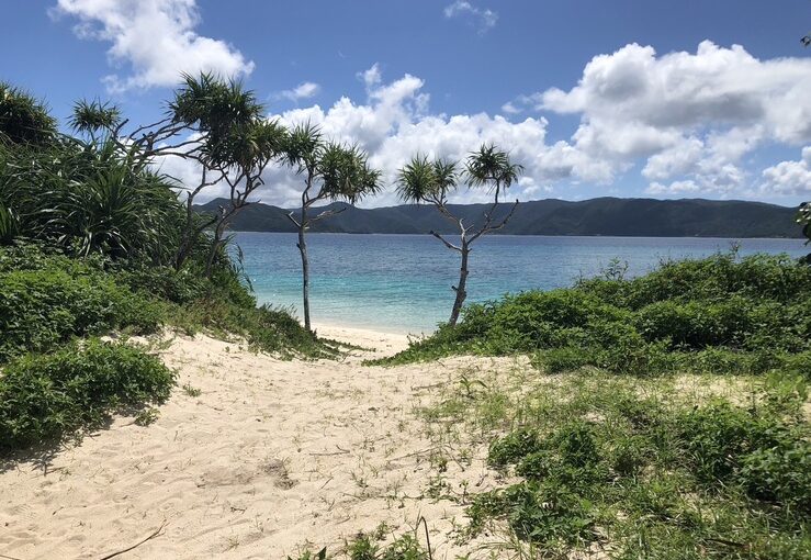 奄美大島のビーチ