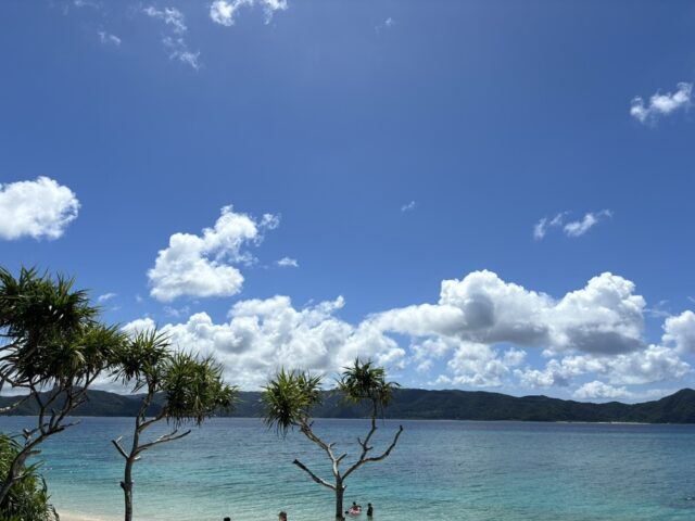 奄美大島の海