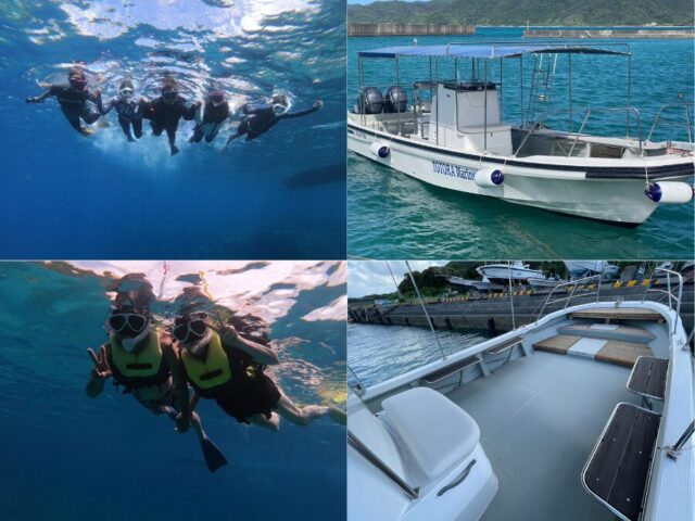【奄美大島/半日】プライベート貸切チャーターツアー♪奄美大島で半日シュノーケリング満喫☆家族・社員旅行にもおすすめ《写真データ付き》(No.192)