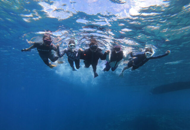 奄美大島の海でシュノーケリングを楽しむグループ