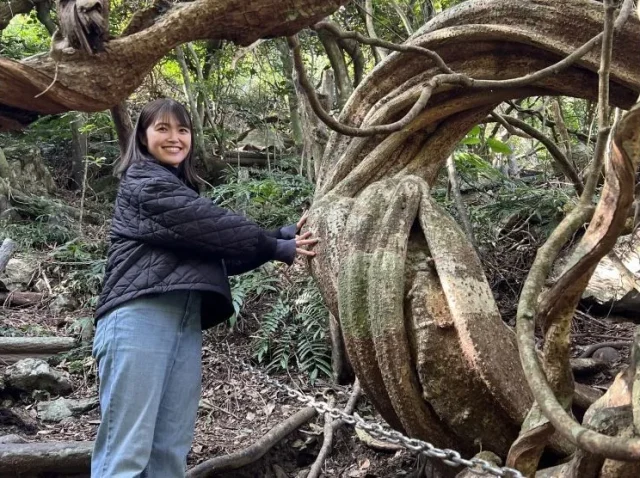 マングローブカヌー