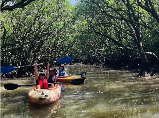 マングローブカヌー