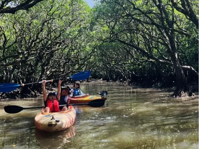マングローブカヌー