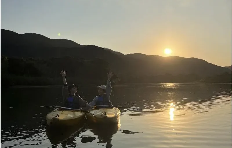 サンセットマングローブ