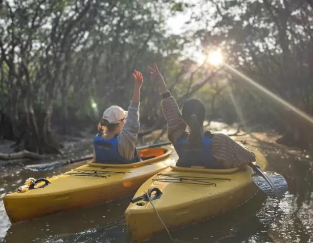 サンセットマングローブ