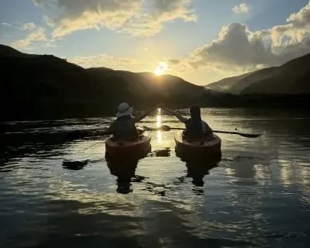 【奄美大島/夕方】1組限定貸切ツアー☆夕陽に照らされたマングローブを進むサンセットカヌー体験☆《0歳からOK・写真付き》（No.214）