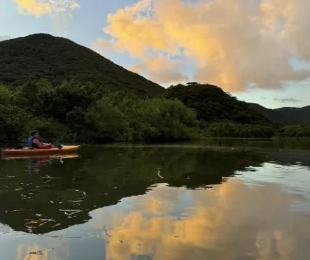 【奄美大島/夕方】1組限定貸切ツアー☆夕陽に照らされたマングローブを進むサンセットカヌー体験☆《0歳からOK・写真付き》（No.214）