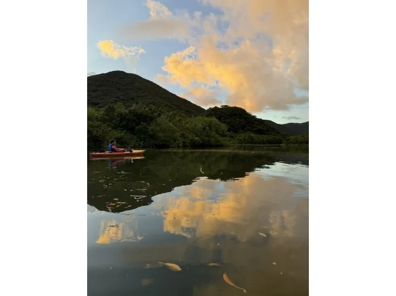 【奄美大島/夕方】1組限定貸切ツアー☆夕陽に照らされたマングローブを進むサンセットカヌー体験☆《0歳からOK・写真付き》（No.214）