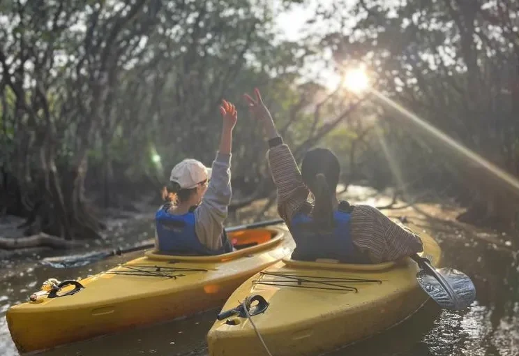 サンセットマングローブカヌー
