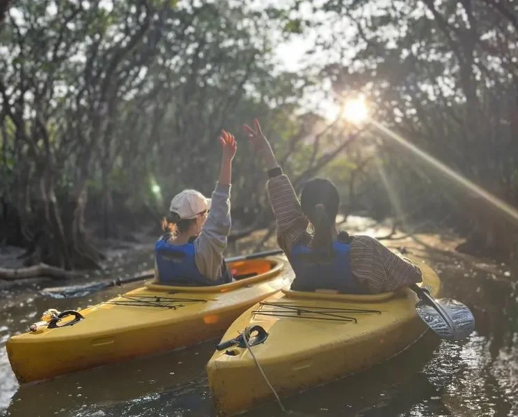 サンセットマングローブカヌー