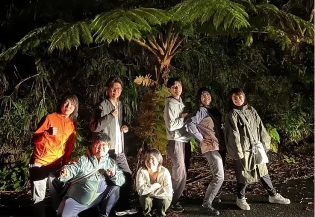 サンセットマングローブカヌー