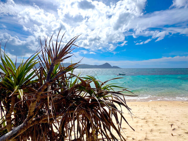 マングローブカヤック＆プチ観光