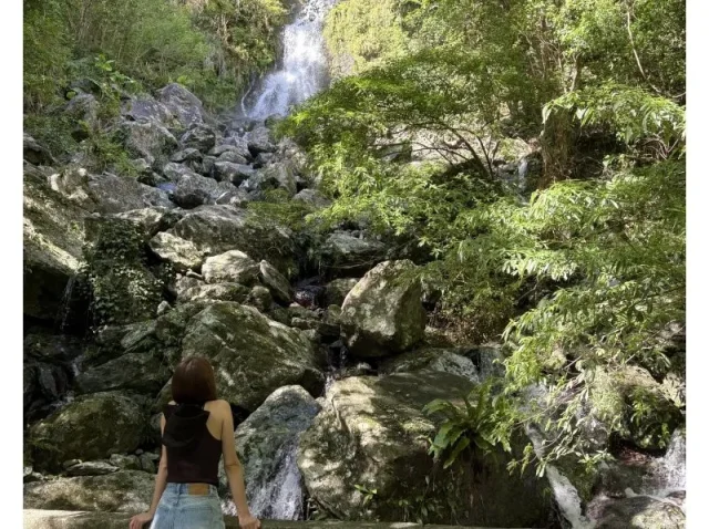 マングローブカヌー