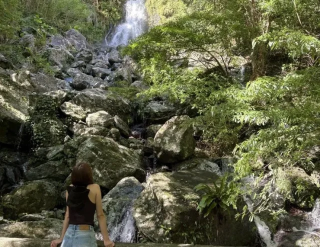 マングローブカヌー