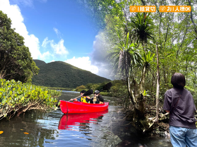 マングローブカヤック＆プチ観光