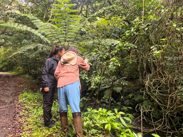 マングローブカヤック＆プチ観光