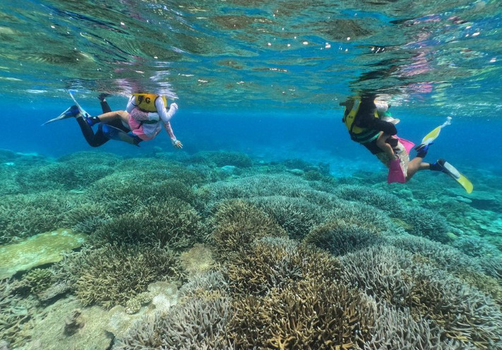 【鹿児島/与論島】4歳からOK！約400種類のサンゴ礁や生き物たちと一緒に☆トロピカルシュノーケリングツアー（No.109）