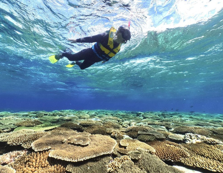 【鹿児島/与論島】4歳からOK！約400種類のサンゴ礁や生き物たちと一緒に☆トロピカルシュノーケリングツアー（No.109）