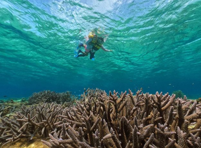 【鹿児島/与論島】4歳からOK！約400種類のサンゴ礁や生き物たちと一緒に☆トロピカルシュノーケリングツアー（No.109）