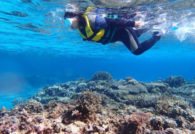 【鹿児島/与論島】4歳からOK！約400種類のサンゴ礁や生き物たちと一緒に☆トロピカルシュノーケリングツアー