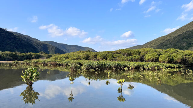 【奄美大島の絶景＆隠れた名所！訪れるべきおもしろ観光スポットを紹介